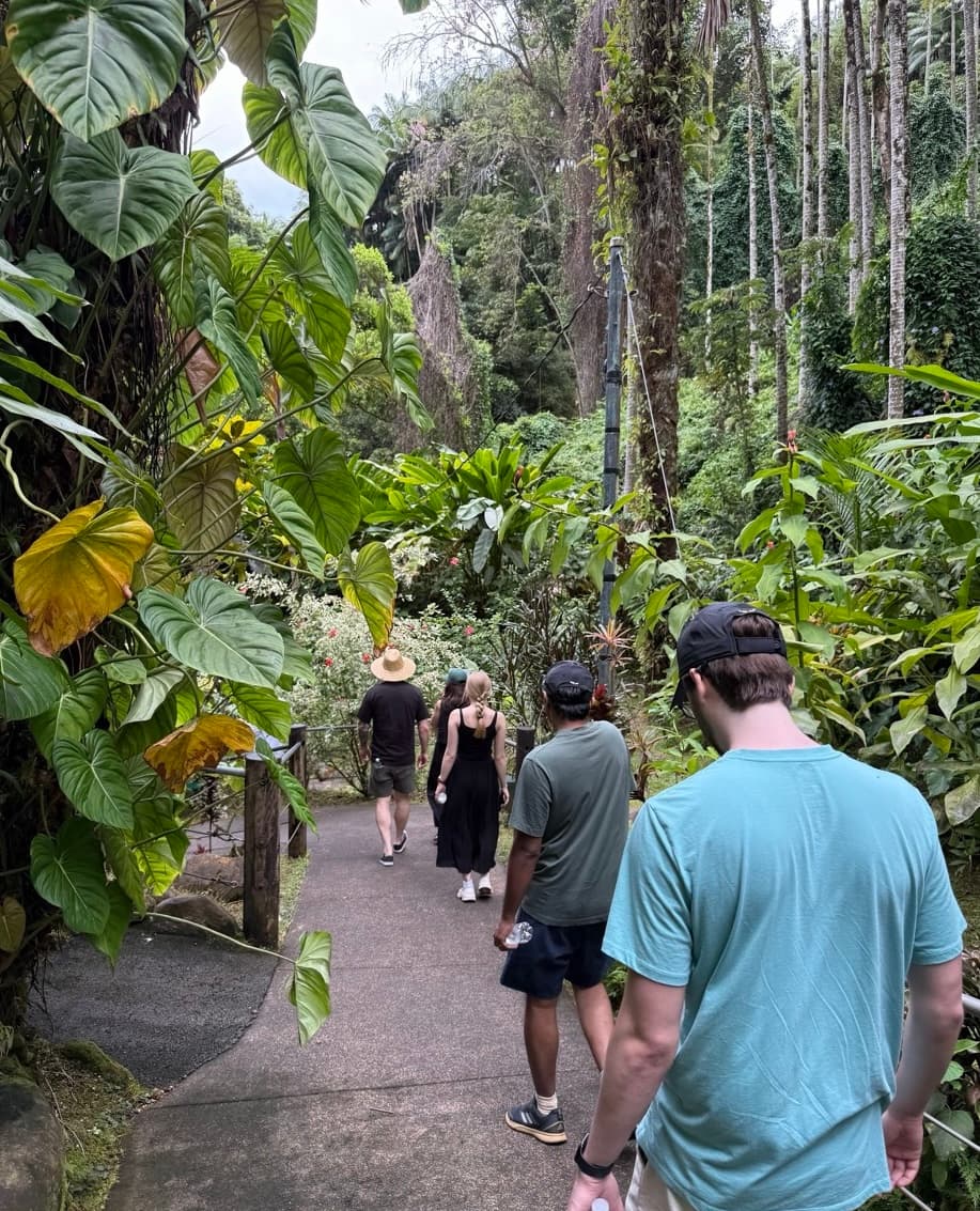 Walking in a forest